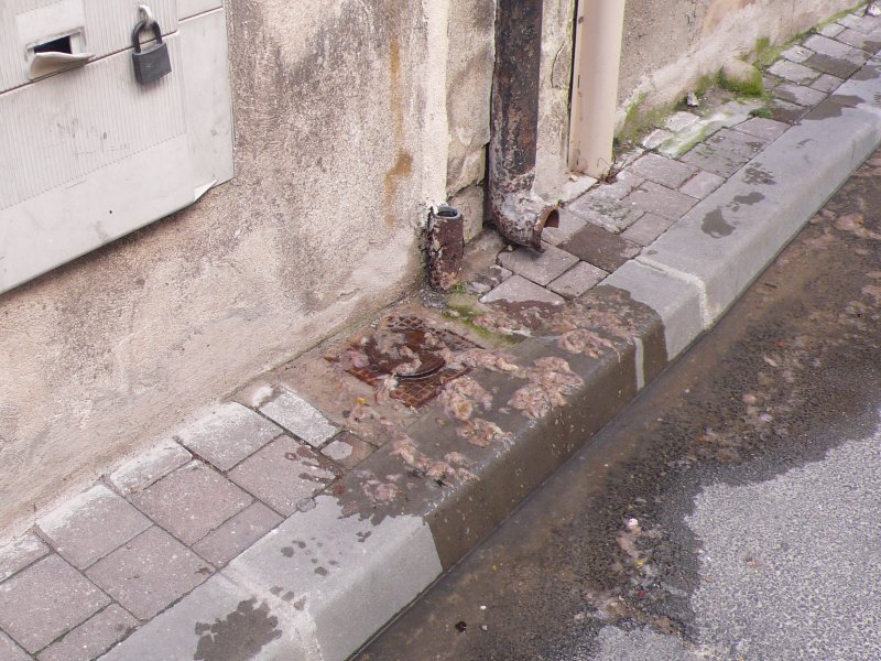 egouts1
